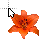 Lily cursor
