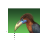 Busy cursor