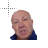 Zoran 2 cursor