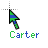 Carter cursor