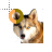 Busy cursor