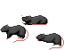 I love Cursors preview