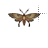 Normal select cursor
