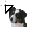 Australian Sheepdog cursor
