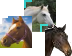 Horse 2 Cursors preview