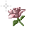 Busy cursor