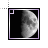 Busy cursor