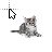 Kitten cursor