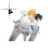 Normal select cursor