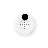 Busy cursor