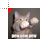 Pew Pew Pew Lolcat cursor