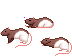 Black Hooded Rat Cursors preview