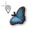 16_BLUEBUTTERFLY_LOCATION cursor