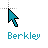 Berkley cursor