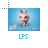 Littlest pet shop 8 cursor