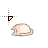 cat ball_noresponse cursor