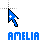 Amelia cursor