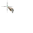 C_INTROG+cur20000 cursor