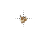 Busy cursor