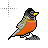 Busy cursor
