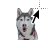 Alternate select cursor