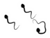 Sperm Cursors preview