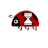 Busy cursor
