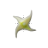 Busy cursor