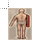 HitLocationRightArm cursor