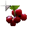 command gather berries icon cursor