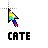 Cate cursor