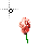 Busy cursor
