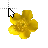 Buttercup cursor