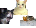 frutas cat Cursors preview