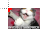 Invisible Sandwich Lolcat cursor