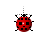 lady bug nature Cursors preview