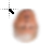 donald trump cursor