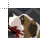 Cujo Drawn Stephen King cursor