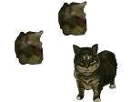 San Francisco Apple Cursors preview