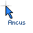 Ancus cursor