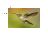 Working in background cursor