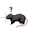 Black Rat Cursors preview