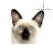 Normal select cursor