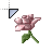 Busy cursor