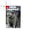 I Can Has Cheezburger Lolcat cursor