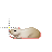 Busy cursor