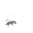 for root cursor