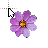 Cosmos cursor