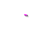 Busy cursor