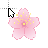Cherry Blossom cursor